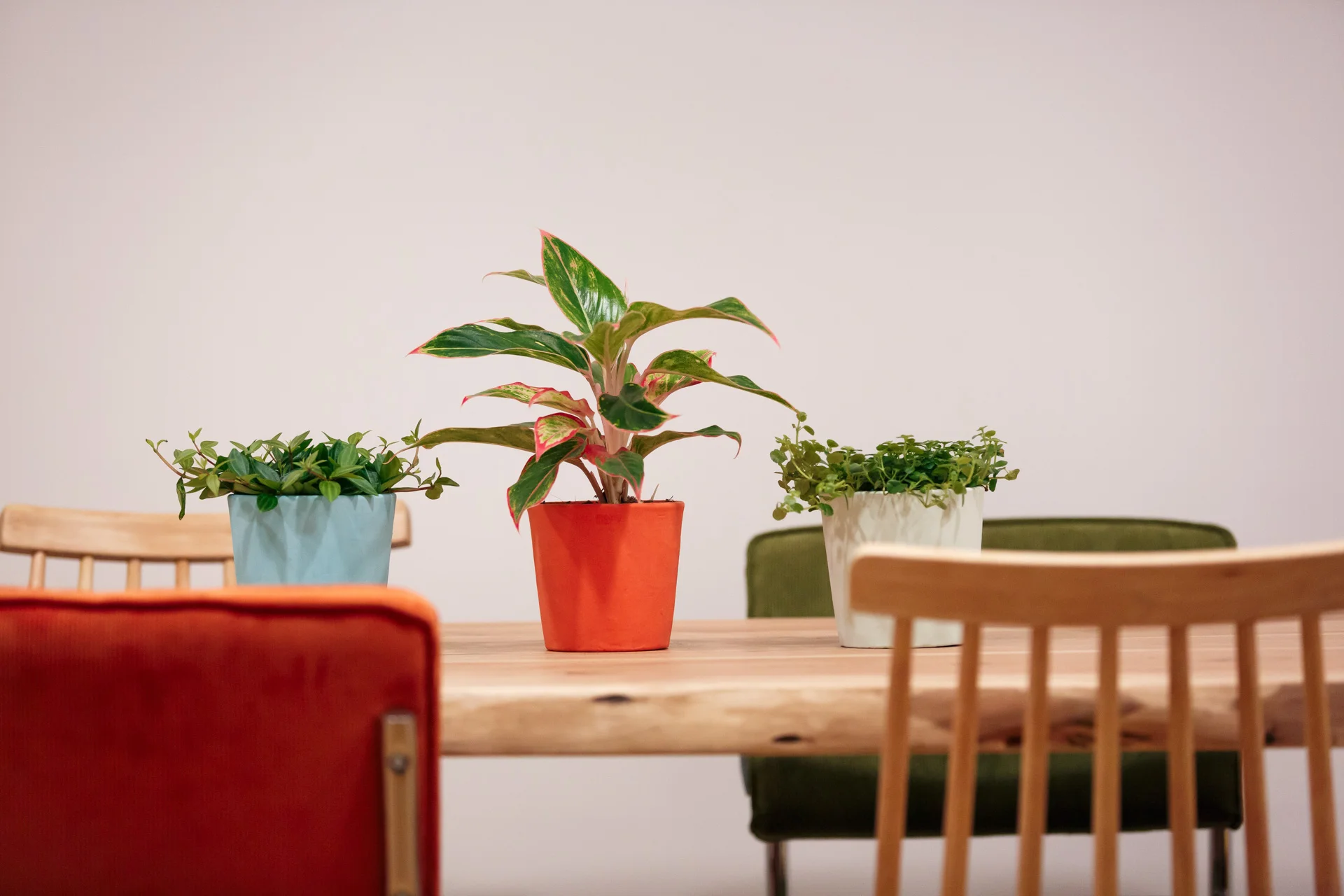 Salle de réunion modulable Strasbourg